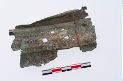 Etikett zu Eisenlanzenschuh (NHMW-PRAE-070978)